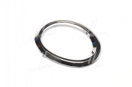 Окуляр решітки в бампер пра. TOY CAMRY 11-14 USA TEMPEST 0494771922