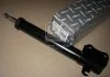 Амортизатор підв. Ford Escort 80-90 задн.масл RIDER RD2870632801 (фото 2)