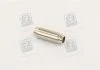 Направляюча клапана IN/EX RENAULT F3P/F3R/F8Q (вир-во Metelli) METELLI 012582 (фото 1)
