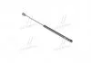 Амортизатор капота HYUNDAI (вир-во) PARTS-MALL PQA019 (фото 1)
