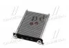 Радіатор обігрівача OPEL VIVARO B / RENAULT FLUENCE (08-) (вир-во AVA) AVA COOLING RT6569 (фото 2)