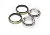 Подшипник ступицы FORD ESCORT 4x4 задн. мост (Пр-во COMPLEX) COMPLEX AUTOMOTIVE BEARINGS Sp.z.o.o. CX025 (фото 1)