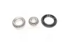 Подшипник ступицы DAEWOO LANOS задн. мост (Пр-во COMPLEX) COMPLEX AUTOMOTIVE BEARINGS Sp.z.o.o. CX523 (фото 1)