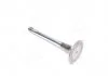 Клапан впускний VAG 1,9 TDi AAZ 36x8x95.55 (вир-во SM) SM MVI 8550634 (фото 1)