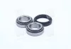 Подшипник ступицы FORD передн. мост (Пр-во COMPLEX) COMPLEX AUTOMOTIVE BEARINGS Sp.z.o.o. CX021 (фото 3)