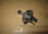 Лампа розжарювання 12v 60/55w P45t NARVA 48884С1 (фото 2)
