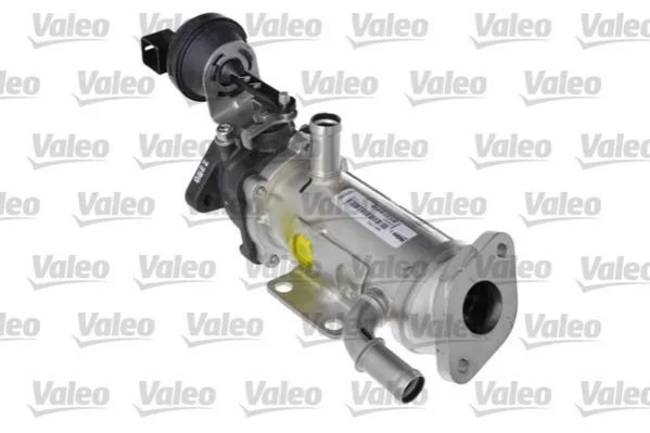 Клапан EGR RENAULT Megane/Trafic "2.0DCi "06>> VALEO 818791 (фото 1)