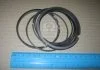 Компл. поршневых колец (вир-во Mobis) Hyundai/Kia/Mobis 230403E102 (фото 1)