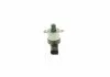 Елемент насосу Common Rail BOSCH 1 465 ZS0 066 (фото 6)