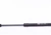 Амортизатор кришки багажника MAGNETI MARELLI 430719111900 (фото 5)