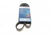 Ремінь П-клиновий 8PK1655 BOSCH 1987947057 (фото 1)