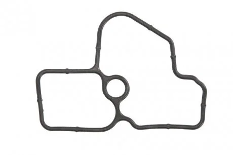 Прокладка корпус термостата RENAULT/NISSAN 2,0 16V M4R/MR20DE 07- ??(вир-во Elring) ELRING 587.130