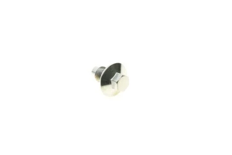 Болт зливу оливи + шайба AIC 58308