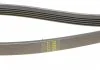 Ремінь (поліклиновий) HUTCHINSON 1240 K 5 (фото 3)