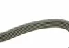 Ремень генератора VW Caddy/Golf/Skoda Octavia 1.6/2.0 04-15/Fiat Ducato 2.5TDI 94-02/Scudo 1.6 96-06 AUTOTECHTEILE 906 0900 (фото 2)