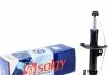 Амортизатор SOLGY 211121 (фото 1)