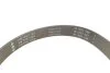 ZESTAW PASKA PK OPEL MOVANO B 14- INA 529035410 (фото 2)