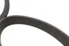 ZESTAW PASKA PK OPEL MOVANO B 14- INA 529035410 (фото 3)