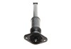 Stosdampfer hinten Hyundai/Kia/Mobis 553002Y001QQH (фото 5)