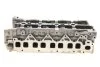 Головка блоку двигуна (Вир-во) RENAULT 110415059R (фото 6)