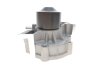 Насос води + комплект зубчатого ремня SKF VKMC981092 (фото 9)