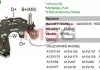 Випрямляч діодний MOBILETRON RP14 (фото 1)