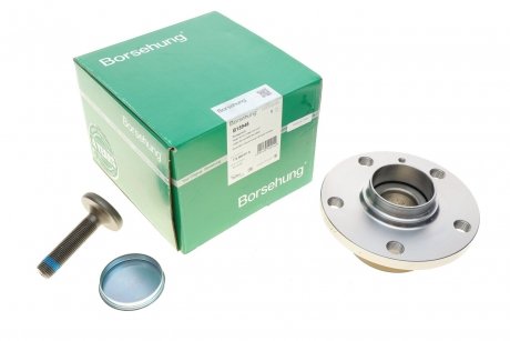 Repair kits for wheel hub unit (OE) BORSEHUNG B15946