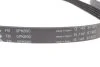 ZESTAW PASKA WIELOROWK. FORD FOCUS 2.5 ST VOLVO D4/D5 INA 529047710 (фото 2)