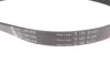 ZESTAW PASKA WIELOROWK. FORD FOCUS 2.5 ST VOLVO D4/D5 INA 529047710 (фото 3)