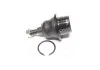 Опора кульова нижня Ford F-150 15- Expedition 18- Gt 17- Navigator 18- (вир-во) CTR CBF29 (фото 1)