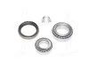 Підшипник маточини CITROEN, PEUGEOT задн.мост лев. (Вир-во COMPLEX) COMPLEX AUTOMOTIVE BEARINGS Sp.z.o.o. CX036L (фото 1)