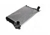 Інтеркулер AUDI; SEAT; SKODA; Volkswagen (вир-во AVA) AVA COOLING VNA4306 (фото 4)
