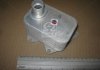 Радіатор масляний SEAT; VW; SKODA; AUDI (AVA) AVA COOLING VN3390 (фото 2)
