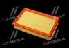 Фильтр воздушный ExtraClean FORD RIDER REC130277 (фото 3)