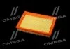 Фільтр повітряний ExtraClean FORD RIDER REC130234 (фото 3)