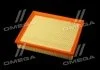 Фільтр повітряний ExtraClean FORD RIDER REC130190 (фото 3)