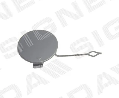ЗАГЛУШКА КРЮКА SIGNEDA PBM99137CB