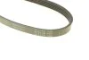 Ремінь генератора поліклиновий INA FB 5PK1815 (фото 4)