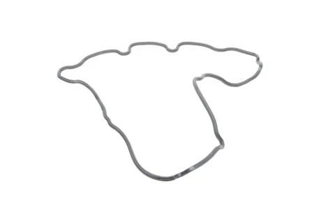 Прокладка кришки клапанів ELRING 571.730