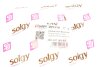 Сайлентблок важеля SOLGY 201319 (фото 5)