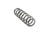 Пружина підвіски SOLGY 212068 (фото 2)