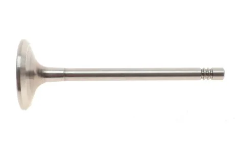 Випускний клапан AMP PVWG081A0N