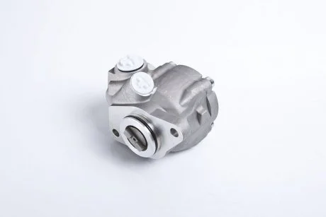 Насос гідропідсилювача PETERS TRUCK 032.501-00 MAN TGA TGX PE AUTOMOTIVE 03250100A