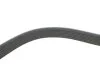 Pasek wielorowkowy elastyczny CAR DAYCO 7PK1051EE (фото 3)