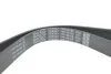 Pasek wielorowkowy elastyczny CAR DAYCO 7PK1051EE (фото 4)