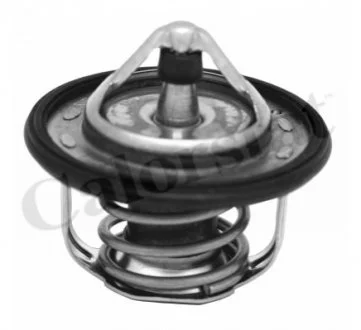 Термостат NISSAN / RENAULT (вир-во Vernet) VERNET TH730095J