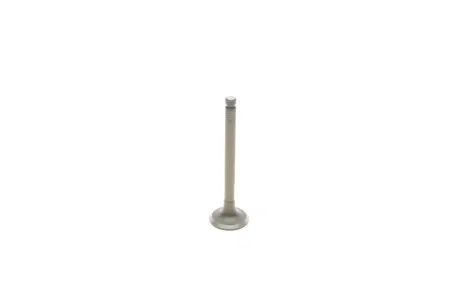 Exhaust valve.4CR9SI2 VIKA 11090216501