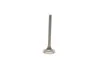 Exhaust valve.21-4N VIKA 11090213701 (фото 1)