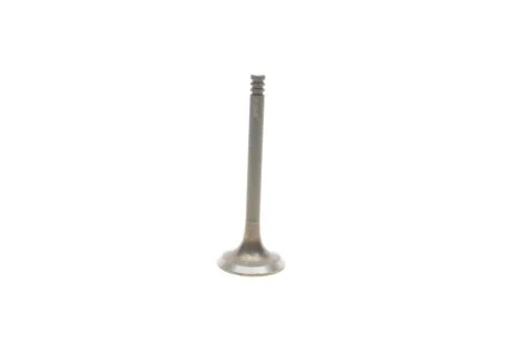 Exhaust valve.21-4N VIKA 11090213701