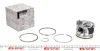 KOLBEN ZJ RENAULT 120A10282R (фото 1)